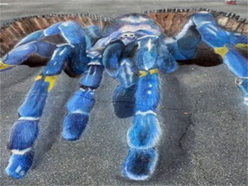 3D chalk art spider