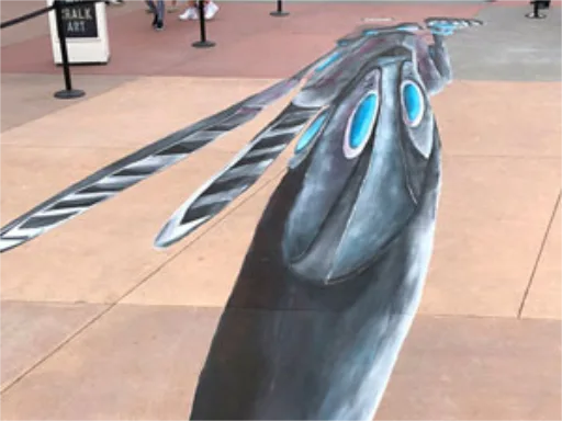 3D chalk art epcot skewed reference view