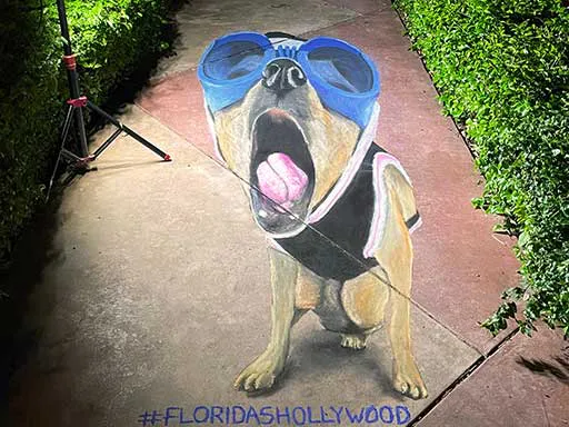 yawning dog 3D chalk art portrait