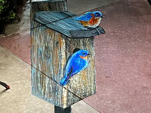3D chalk art hollywood catbird