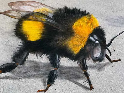 3D chalk art bumblebee photo-op scene